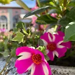 Hotel Ca Rocca Relais