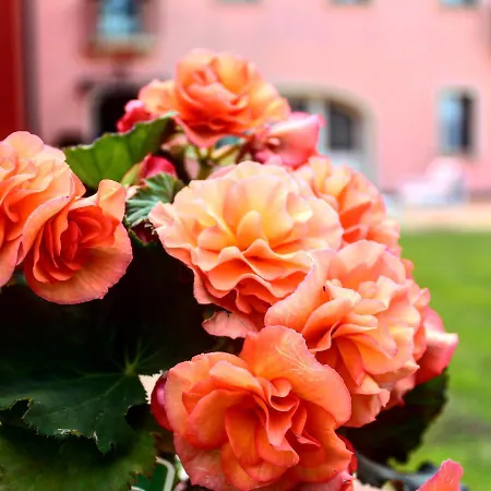 Ca Rocca Relais Hotel 3*