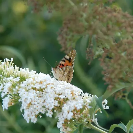 Ξενοδοχείο Ca Rocca Relais Monselice