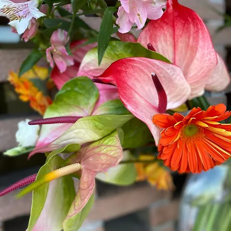 酒店 卡洛卡瑞雷斯酒店