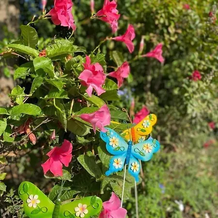 卡洛卡瑞雷斯酒店 酒店 蒙瑟里奇