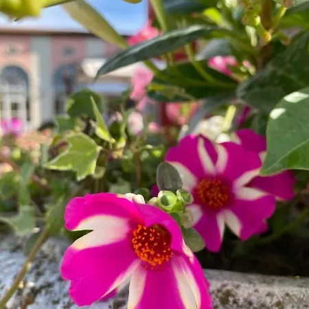 Szálloda Ca Rocca Relais