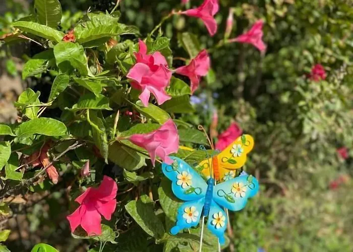 Ca Rocca Relais Otel Monselice