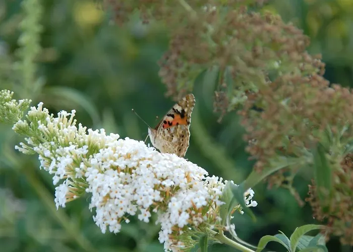 Otel Ca Rocca Relais Monselice